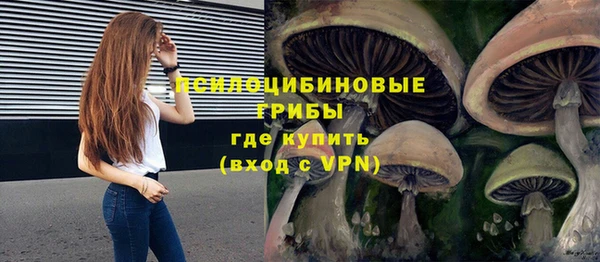 стафф Липки