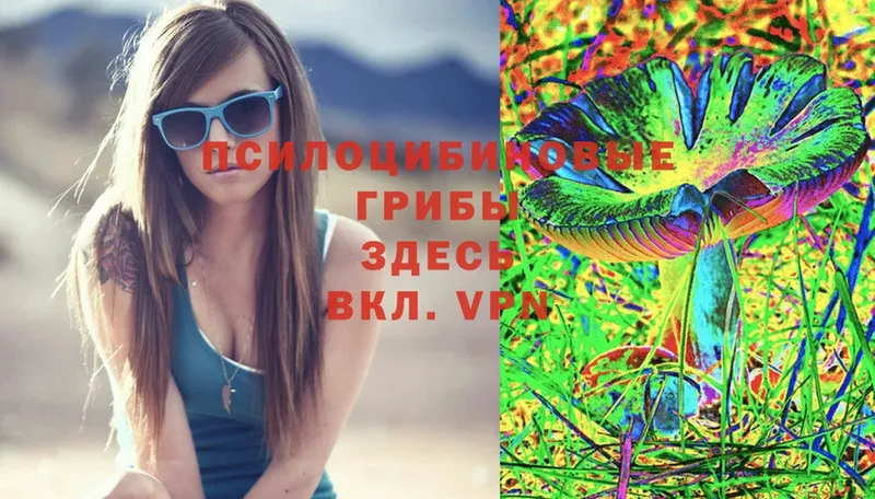 Псилоцибиновые грибы Psilocybine cubensis  где продают   Челябинск 