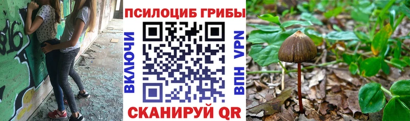 Псилоцибиновые грибы Magic Shrooms  кракен ONION  Челябинск 