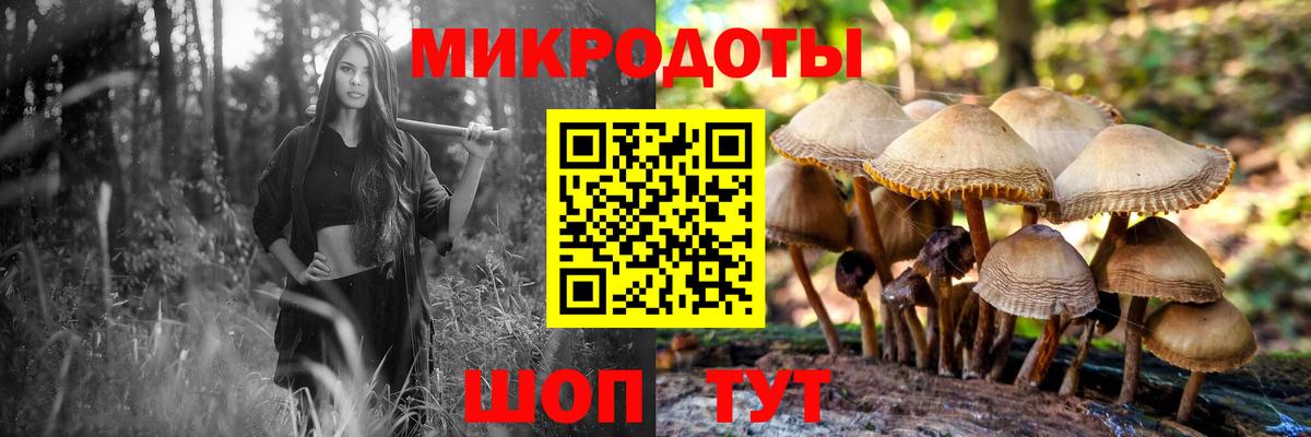 Псилоцибиновые грибы мицелий  Вход с VPN  Челябинск 