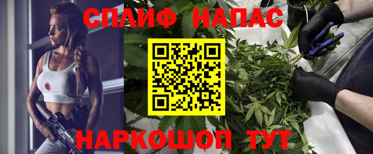 Канабис план  Конопля сатива  Бошки марихуана White Widow  Челябинск  Бошки Шишки сатива  Вход с VPN 